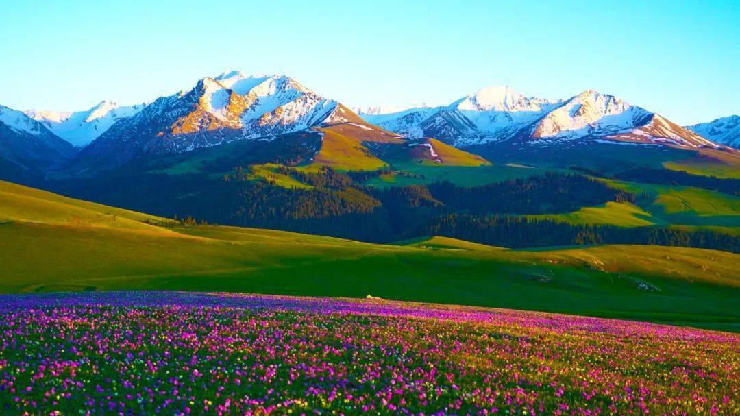 世界最美的风景草原图片