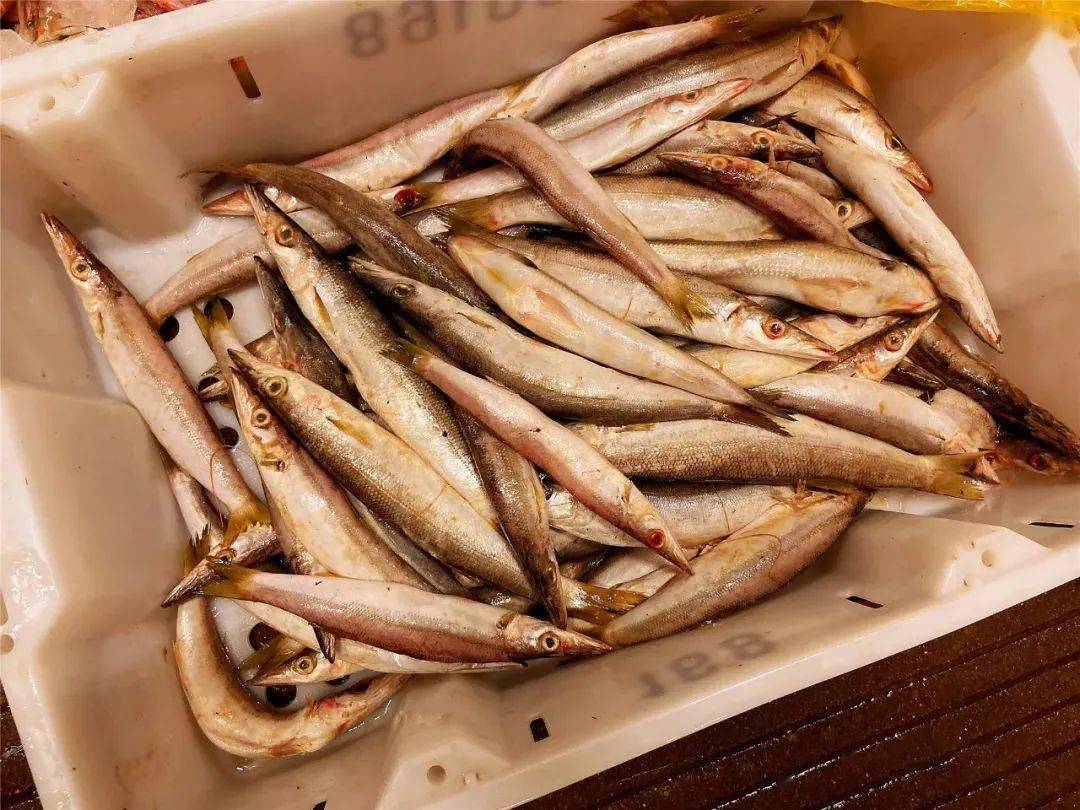 黄尾魣俗称加剥,青蚬仔,豆仔鱼,乌仔等.