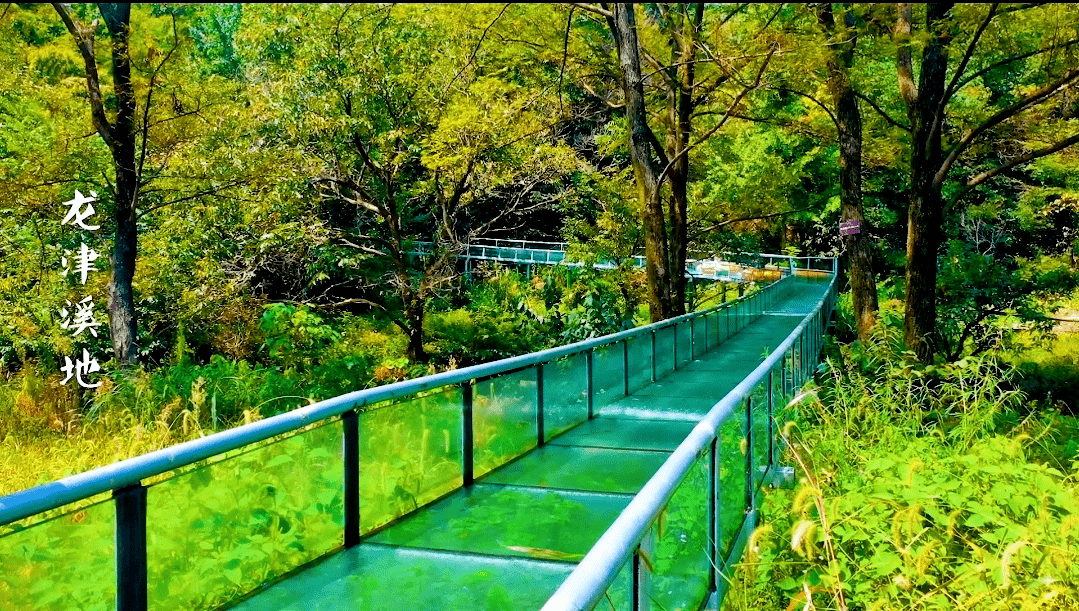 长寿之乡金寨:百名主播走进龙津溪地助推旅游热潮!_景区