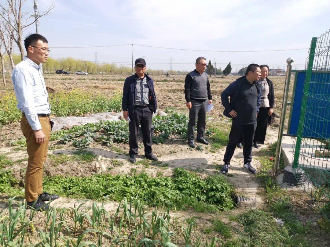 节后监督不放松 凝心聚力促攻坚