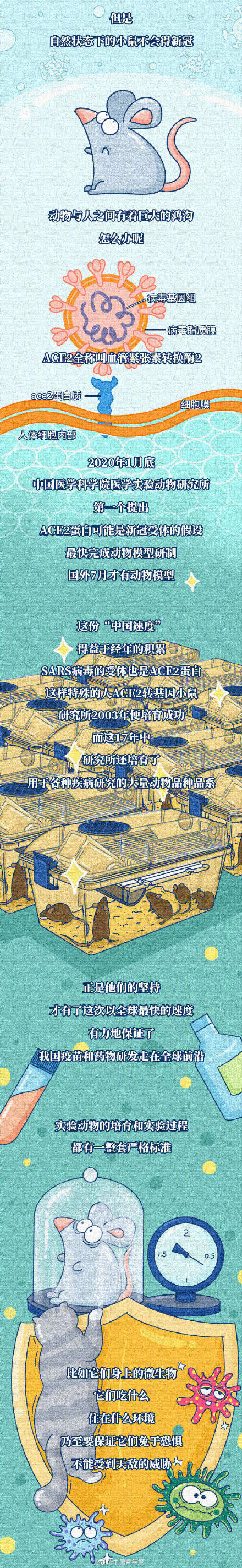 秦川|猴子得不得新冠，这很重要吗？