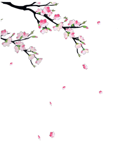 快来看,炎陵已经成了花花世界!_梨花