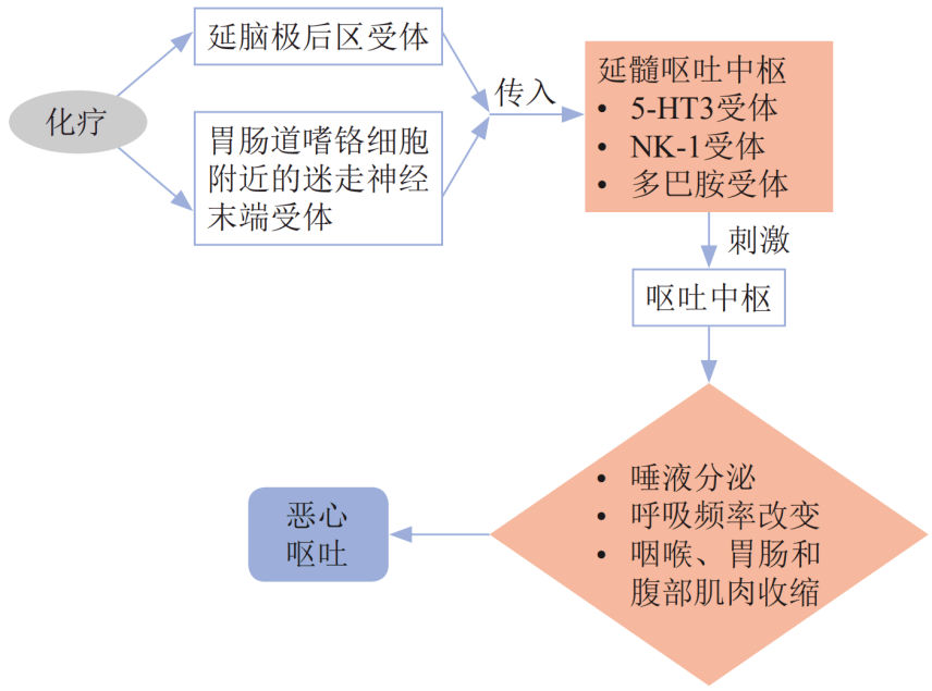 呕吐思维导图图片