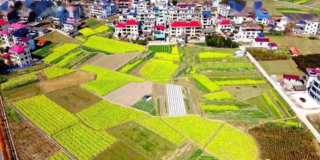 吉镇村人口_封丘县留光镇各村人口