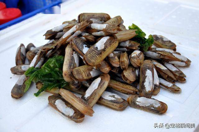 开春吃鲜看青岛银爱吃的小海鲜价格最便宜10多块钱一斤