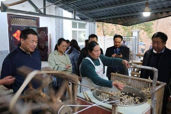 专家教授到鲁山调研林蚕菌产业助力产业富民和乡村振兴