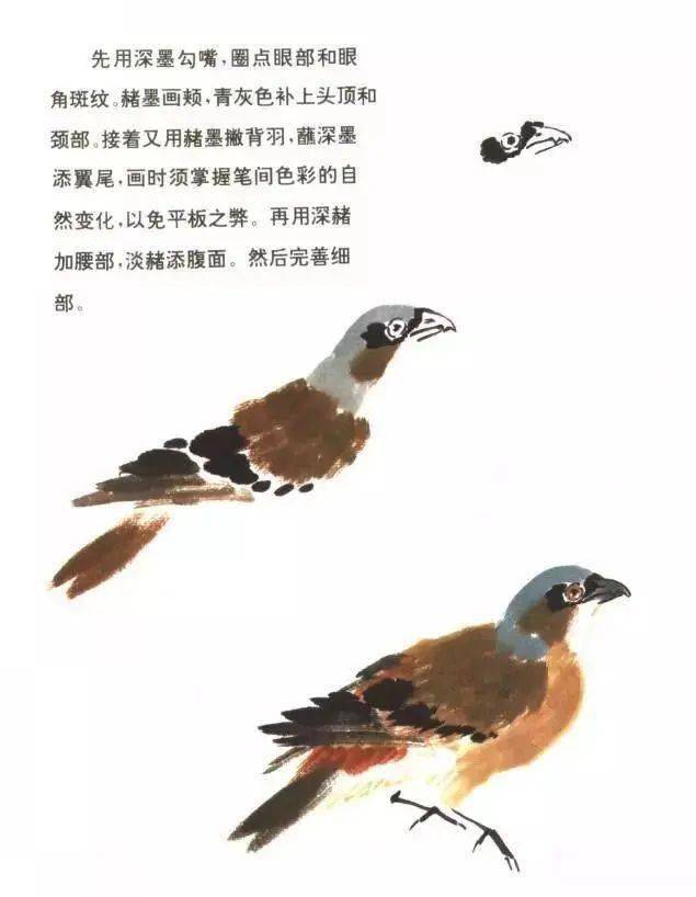 國畫教程黃鸝鳥的畫法