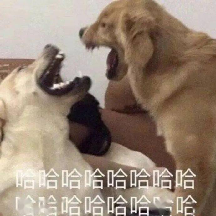 成语犬什么声_成语故事图片(2)