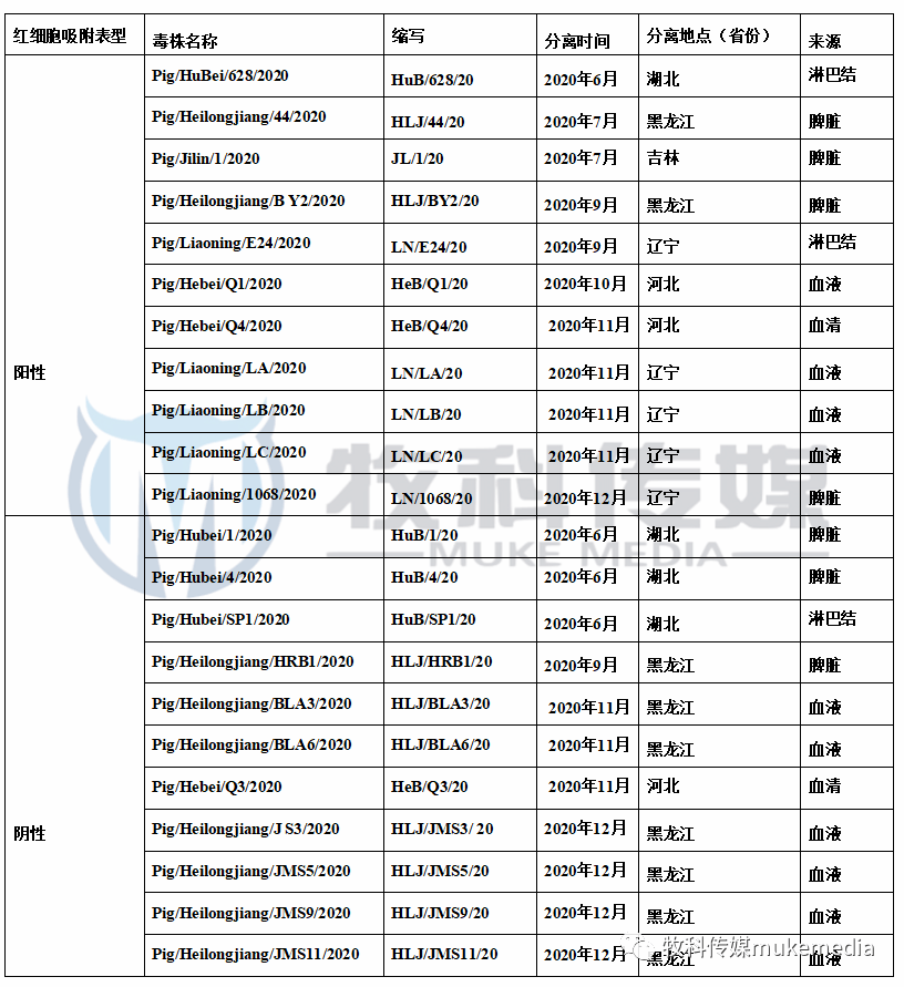非洲有哪些国家英文名 c660a72ea6164c618dd74ad3223923cc.png
