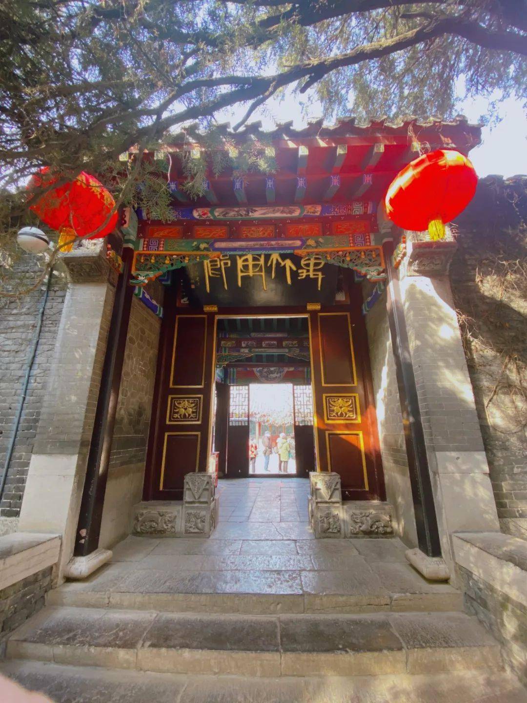 又是一年杏花开去万竹园邂逅最美的杏花