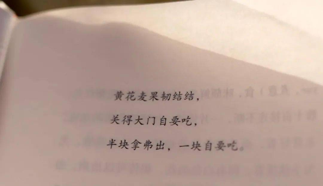 老湖州的元宵 你都吃过吗 黄花麦