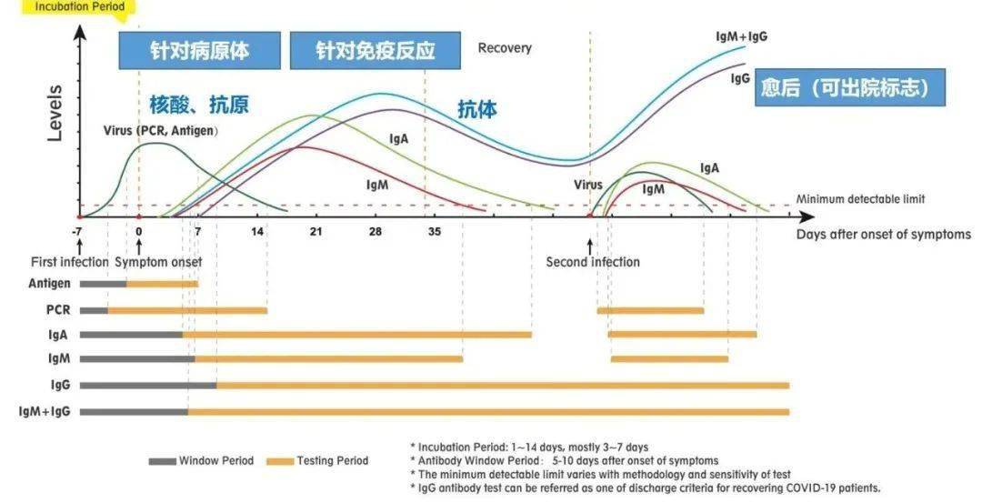 核酸检测贡献多少gdp_核酸检测图片(3)