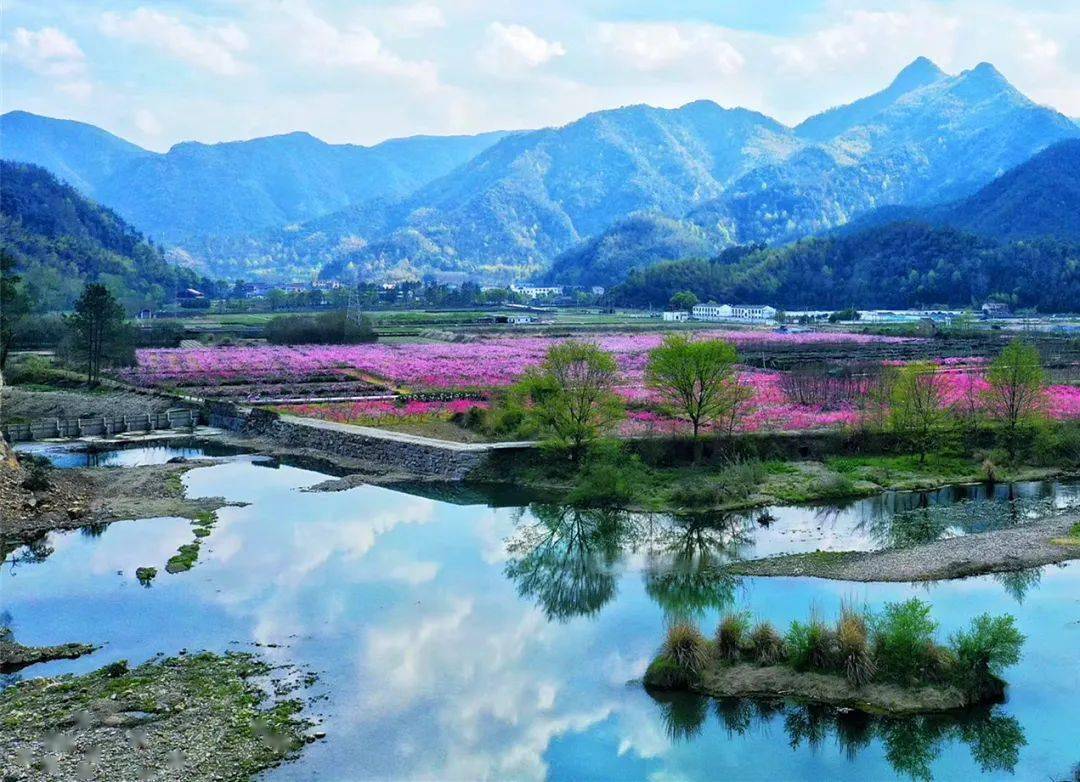 暖春三月,这里到处都是粉色一片,连绵的桃树与农家小屋相映成趣,构成
