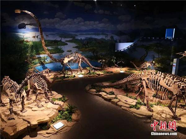 化石|大国“寻龙记”：中国恐龙如何被发现并“走向”世界？