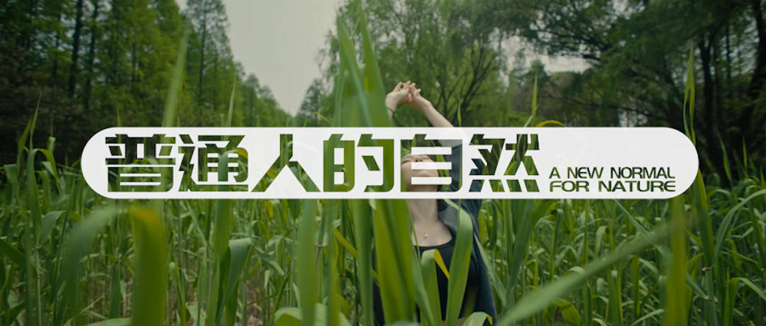 人口自然分类_人口自然增长率图片
