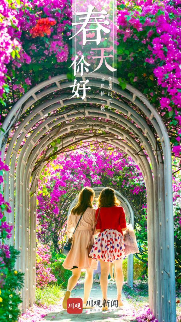 春风十里不如你，8张海报带你看攀枝花的“花花世界”