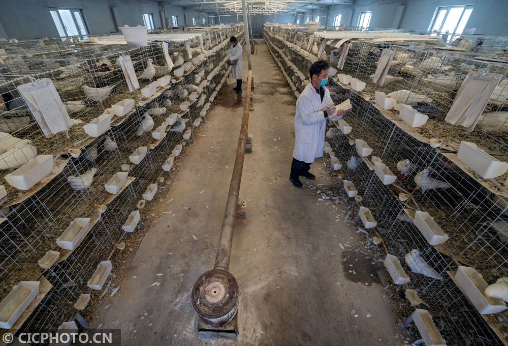 阿克苏人口2021_阿克苏苹果图片