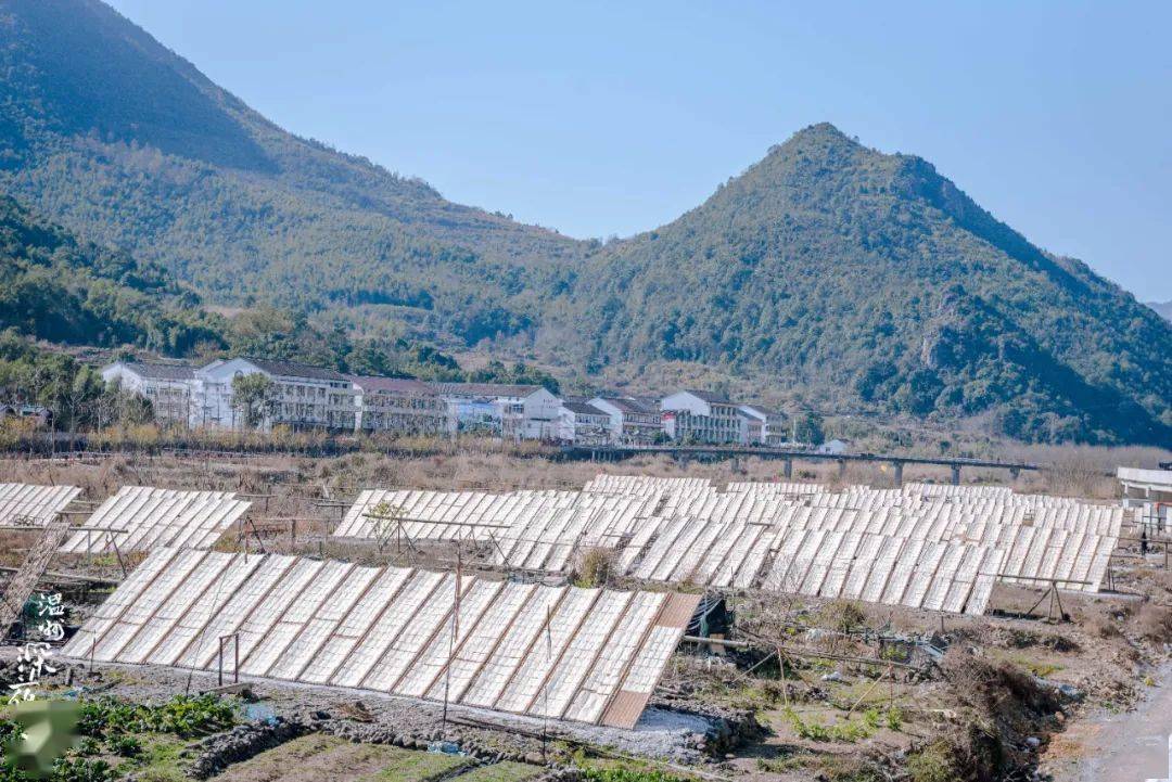 平阳历年人口_平阳公主(2)