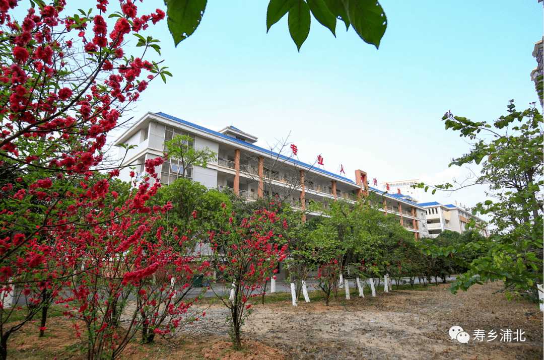 美啦美啦浦北一职校的桃花又开了