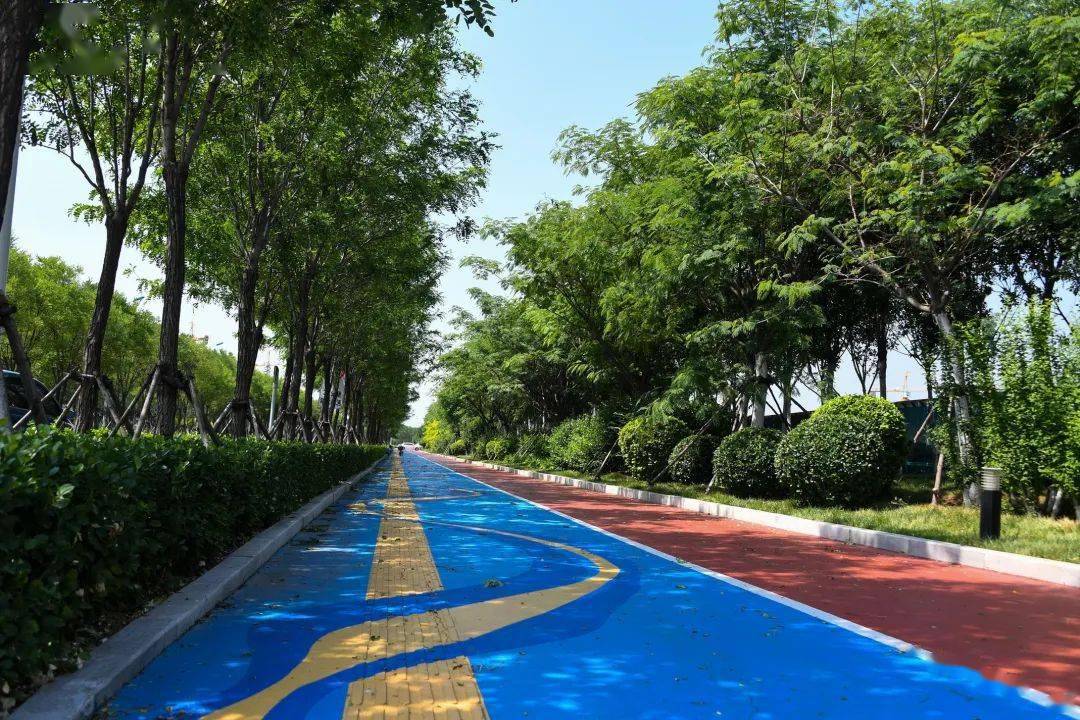 慢慢慢生态城在这方面太慢了