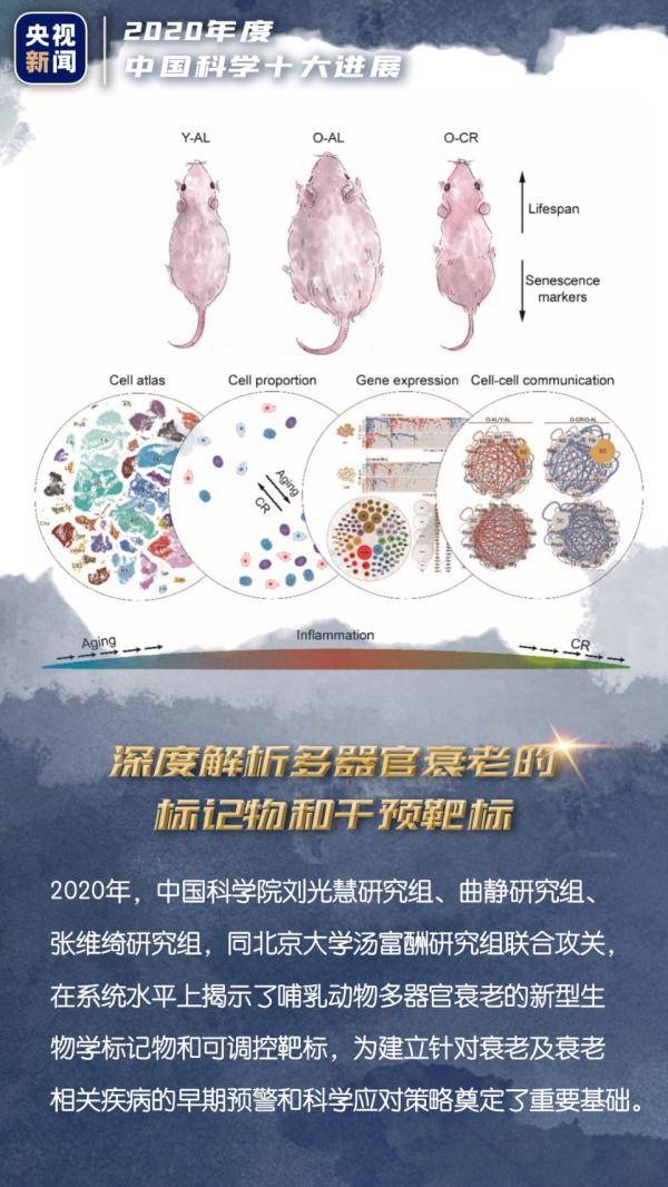 进展|中国科学十大进展惊艳世界！一组海报，带你走进科学→