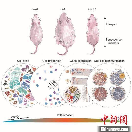 研究|嫦娥五号、“奋斗者”号等入选2020年度中国科学十大进展