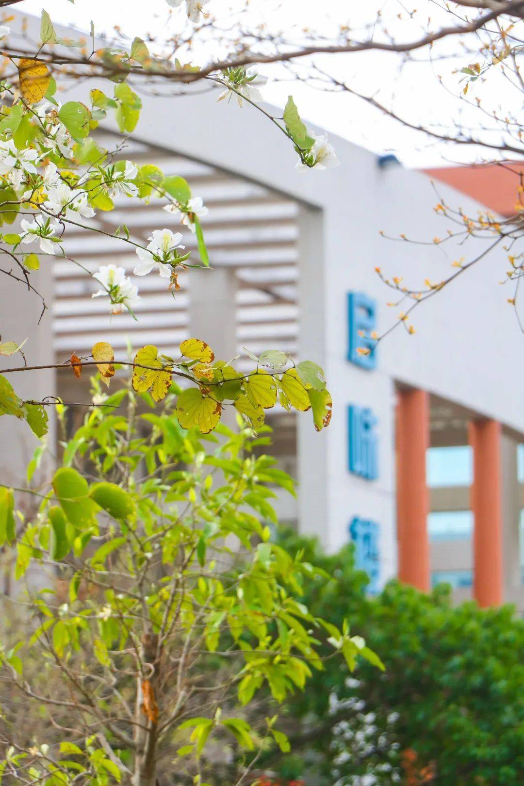 春暖花开走进中山一职捕捉那一抹让人心动的美好