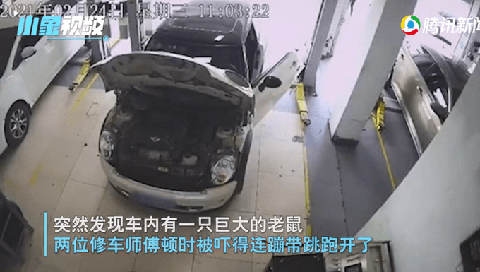 引擎盖缝隙大有什么好办法解决 bc6cdf5e2df7448ba56a2c4ddb7574b7.png