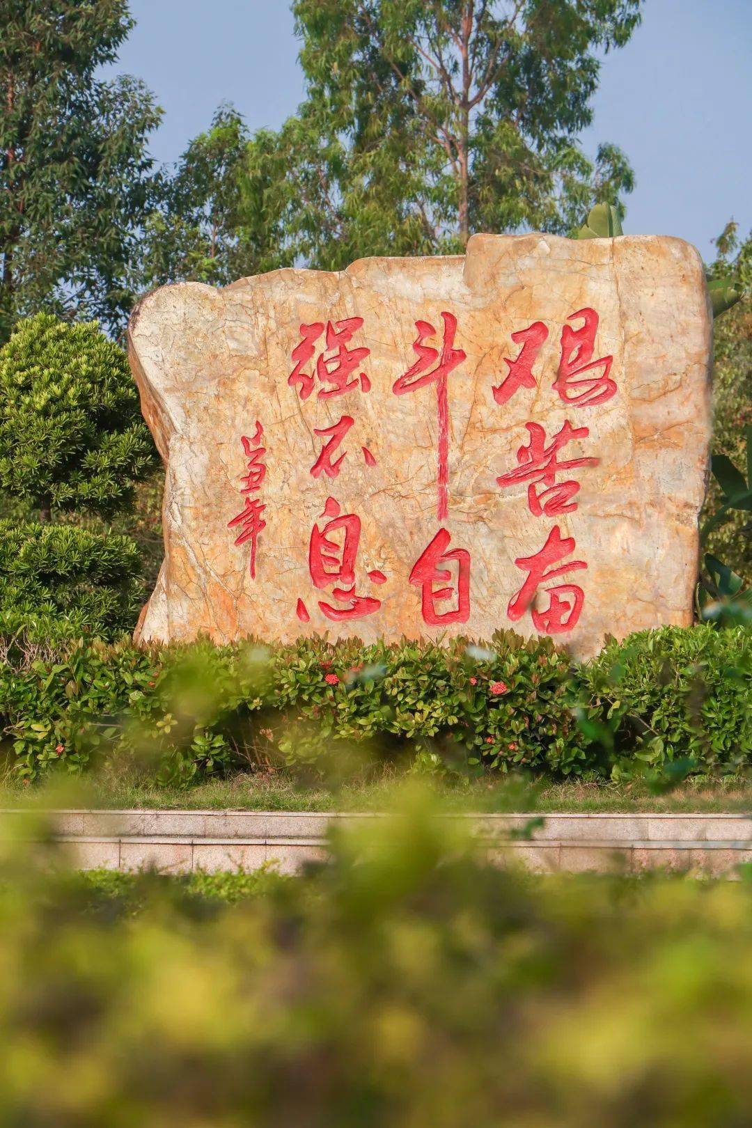 春暖花开走进中山一职捕捉那一抹让人心动的美好