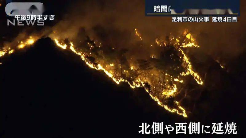 刀剑乱舞 圣地 御岳神社 被山火烧没 日本游戏玩家哀嚎 无法接受 山姥