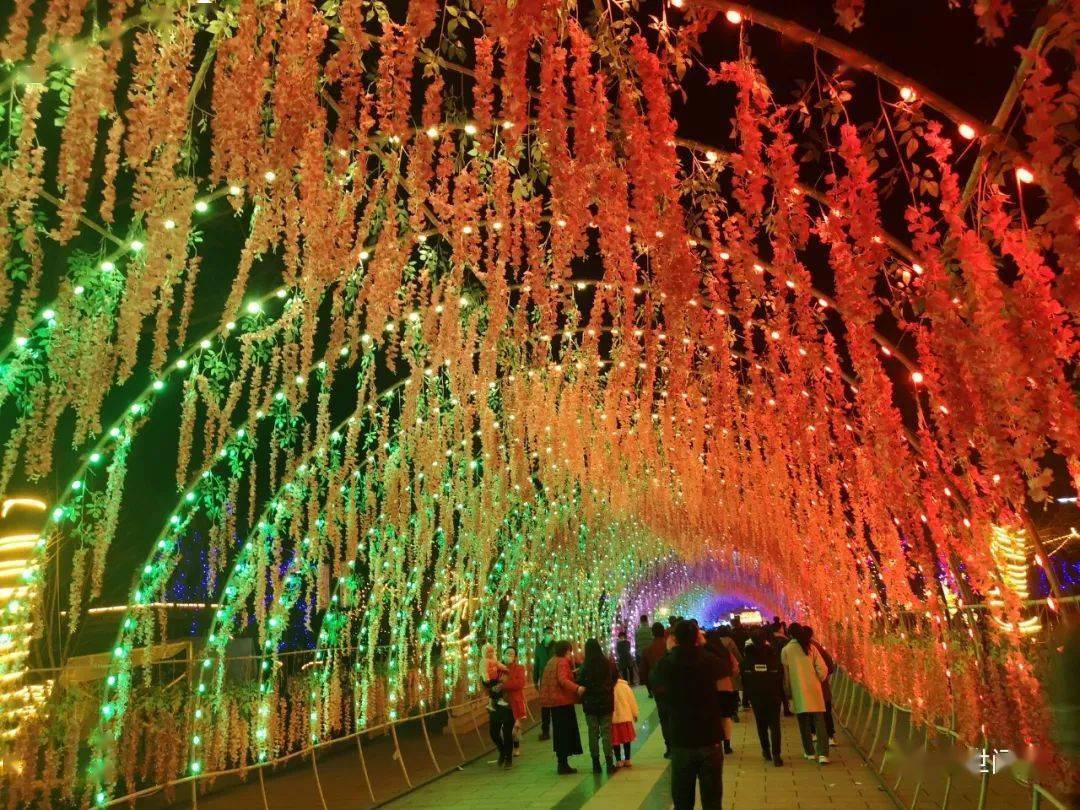 今年新春,莒县丽正园的花灯会,更是成为莒城市民赏灯游玩的好去处.