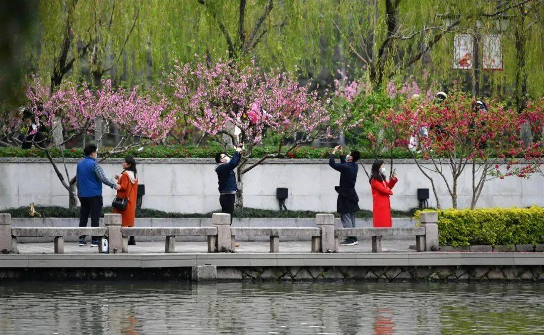 鱼说榕城 | 福州又“红”了！花开花败，趁着的周末时光，快去打卡吧……