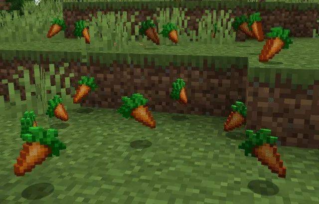 67胡萝卜是什么梗我的世界老mc嘿嘿一笑这是胡萝卜的秘密