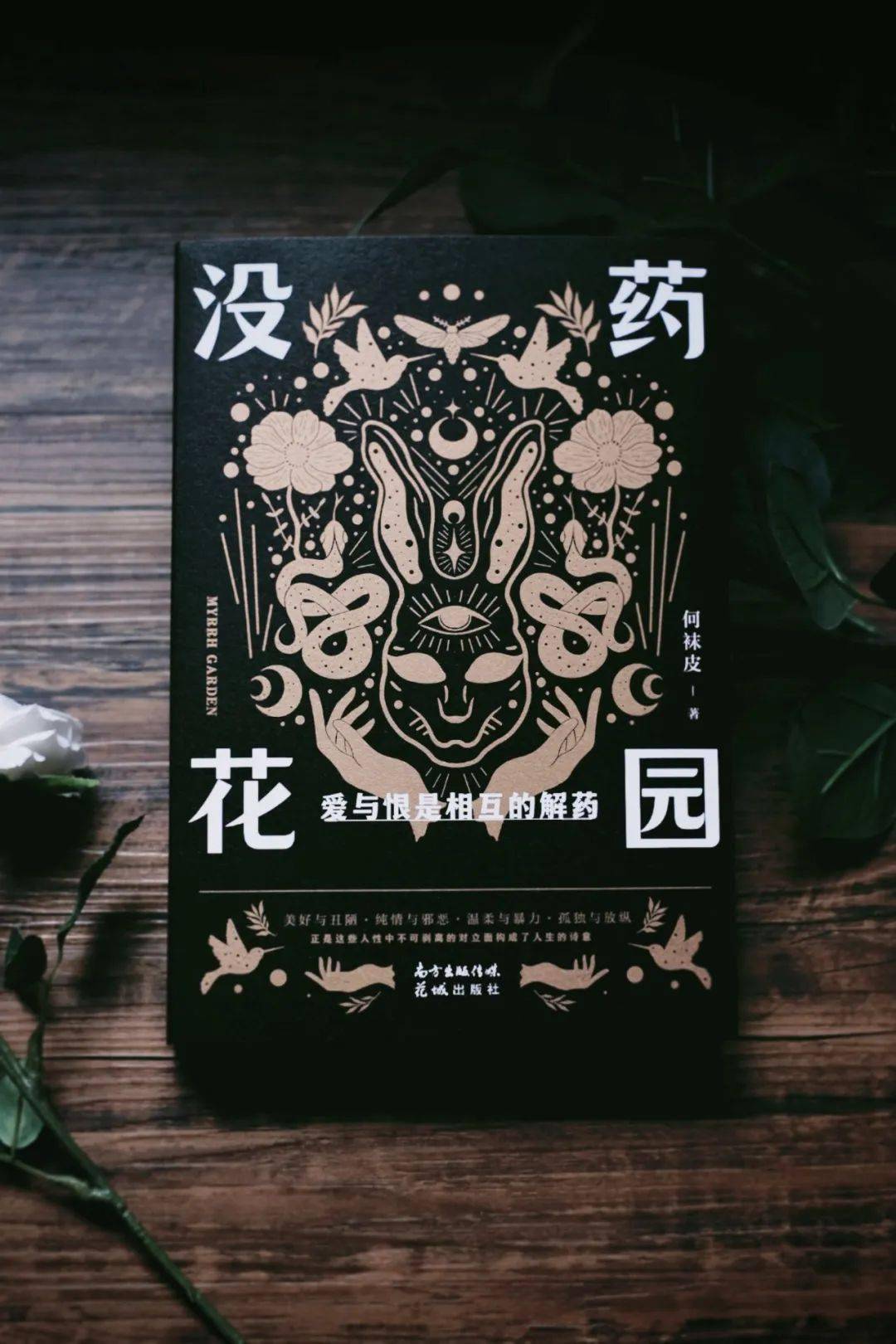 何袜皮的小说透露了没药花园的秘密