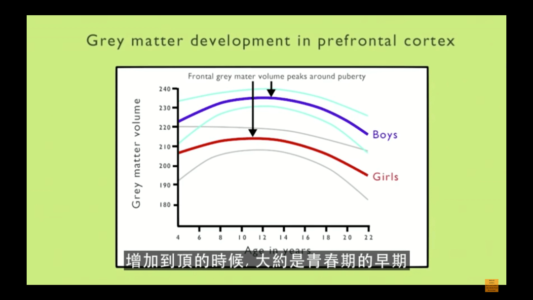 青春期脑部的神奇操作