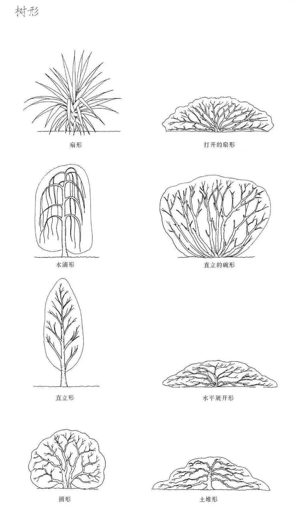 一个赏心悦目的花境做好花境植物种植真的很重要
