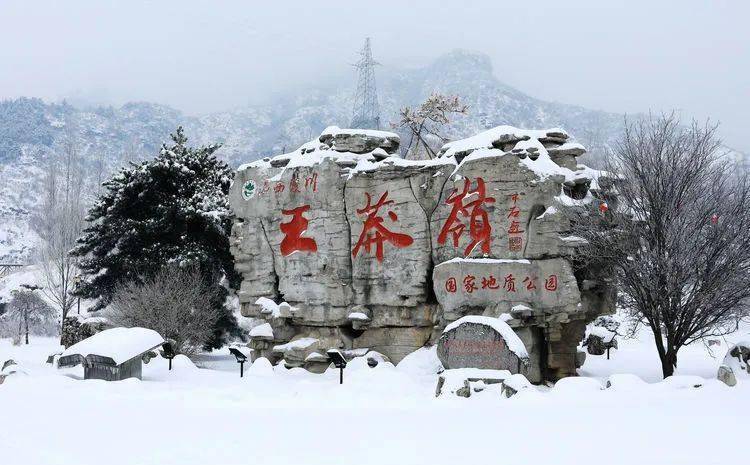 晋城王莽岭雪景，太美了！