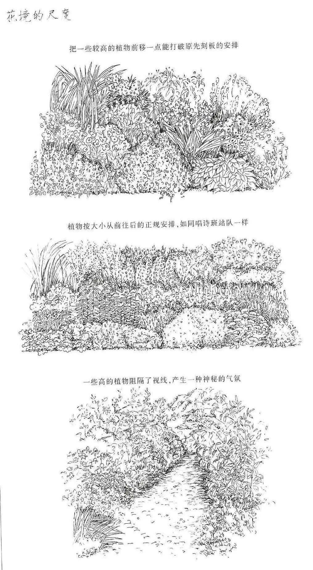 一个赏心悦目的花境做好花境植物种植真的很重要