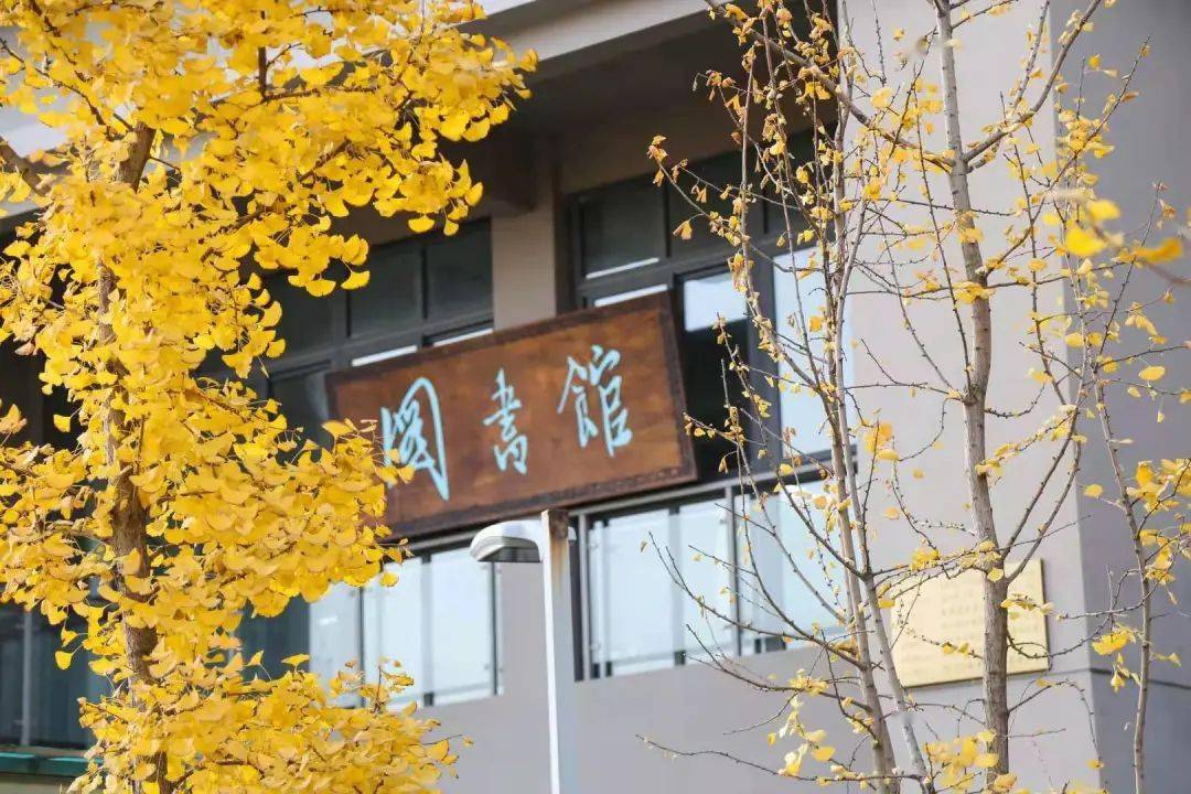 四川银杏管理酒店学院图片