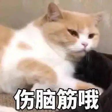 215f2c2f1e274188849ab54eda33780d.jpeg