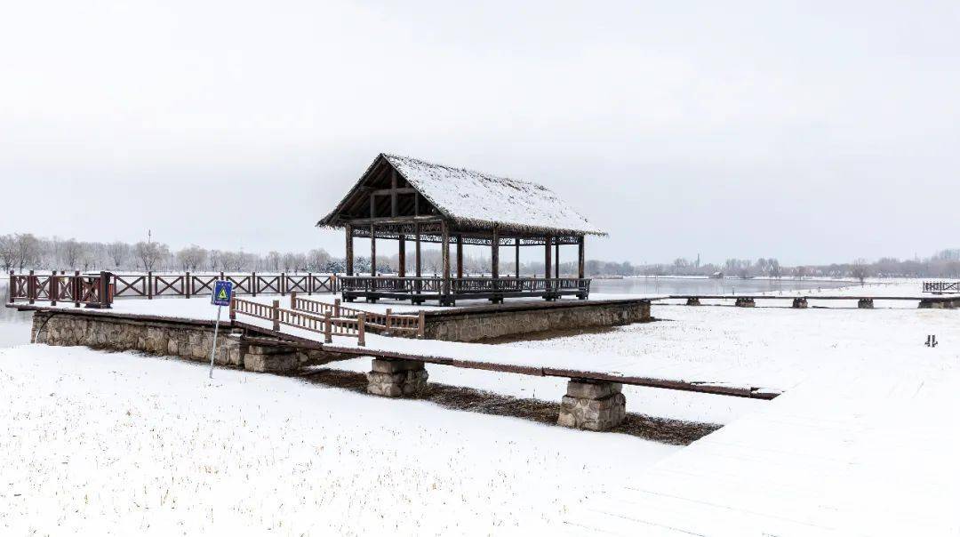 大运河森林公园雪景图片