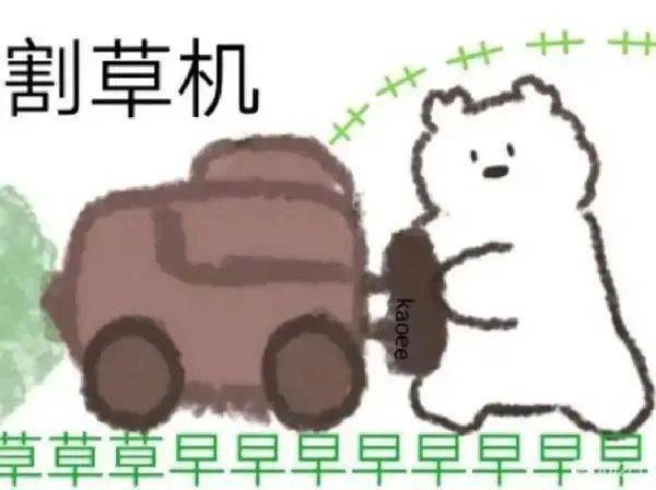 7bb877486ccd4dbcb381036c981e3411.jpeg