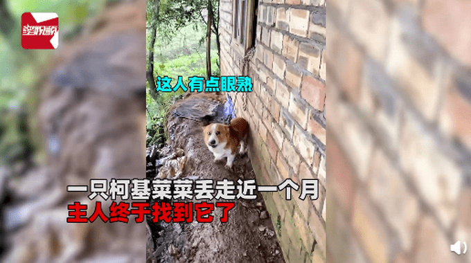 疯狂猜成语气在山上_看图猜成语(2)