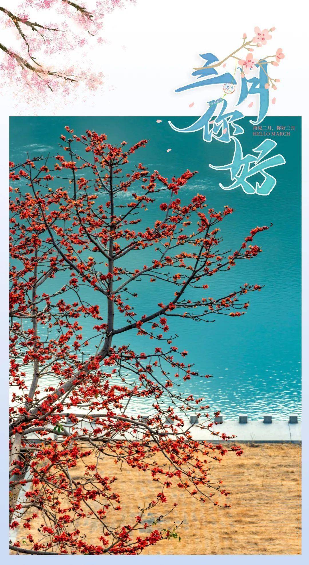 请查收！攀枝花寄向春天的明信片
