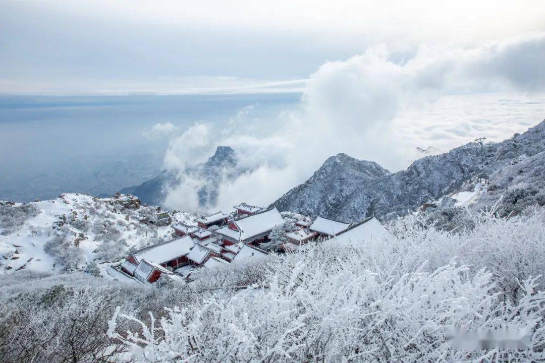 场大雪将泰山的仙境之美发挥到了极致,小编带大家看看今天山上的雪景