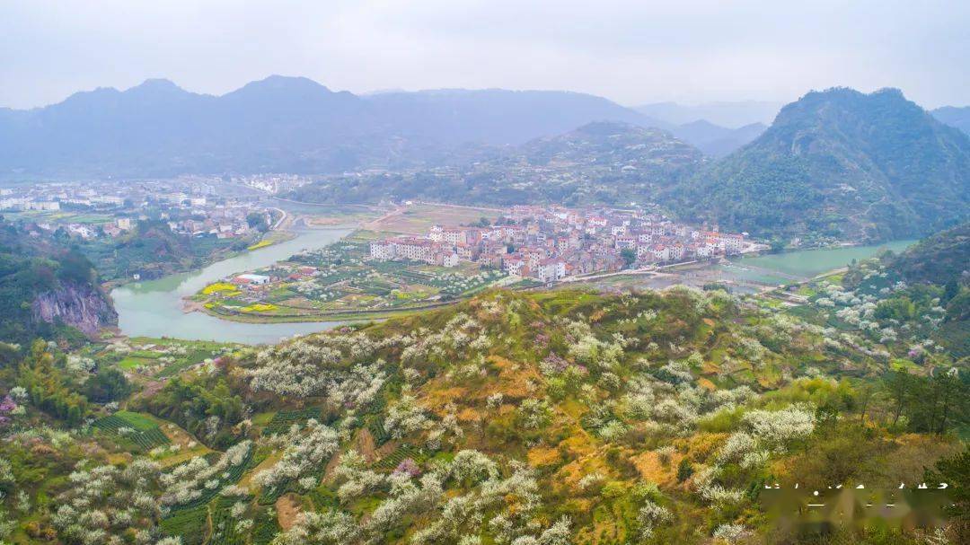 休闲赏花37周日新昌镜岭溪西村李花开许你一片烟花三月