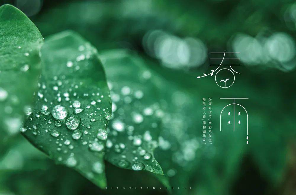字体帮1822篇6767春雨明日命题暴富