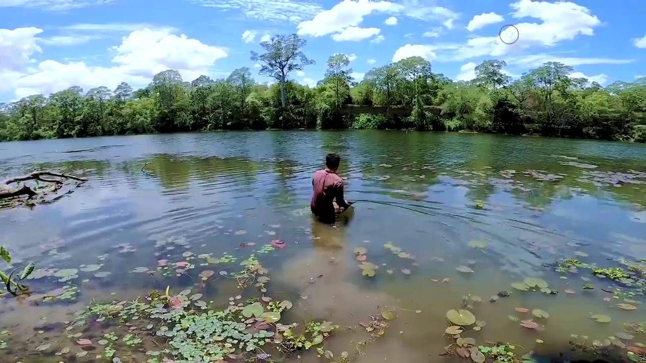 河里有各种五颜六色的鱼很好看看看小哥捞到的这条你见过吗