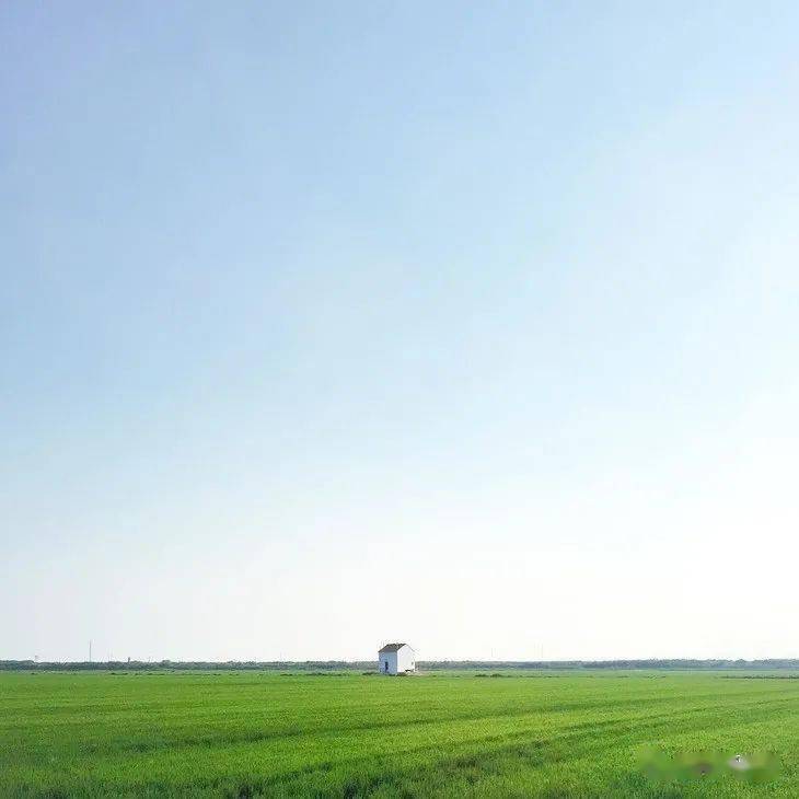 极简构图摄影作品欣赏50张