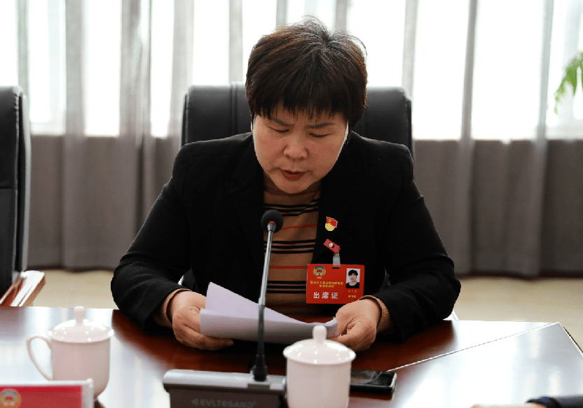 市领导聂长明,李进,田贞,杨钧,付小彬,张磊,史红宇,赵婧出席,政协十个